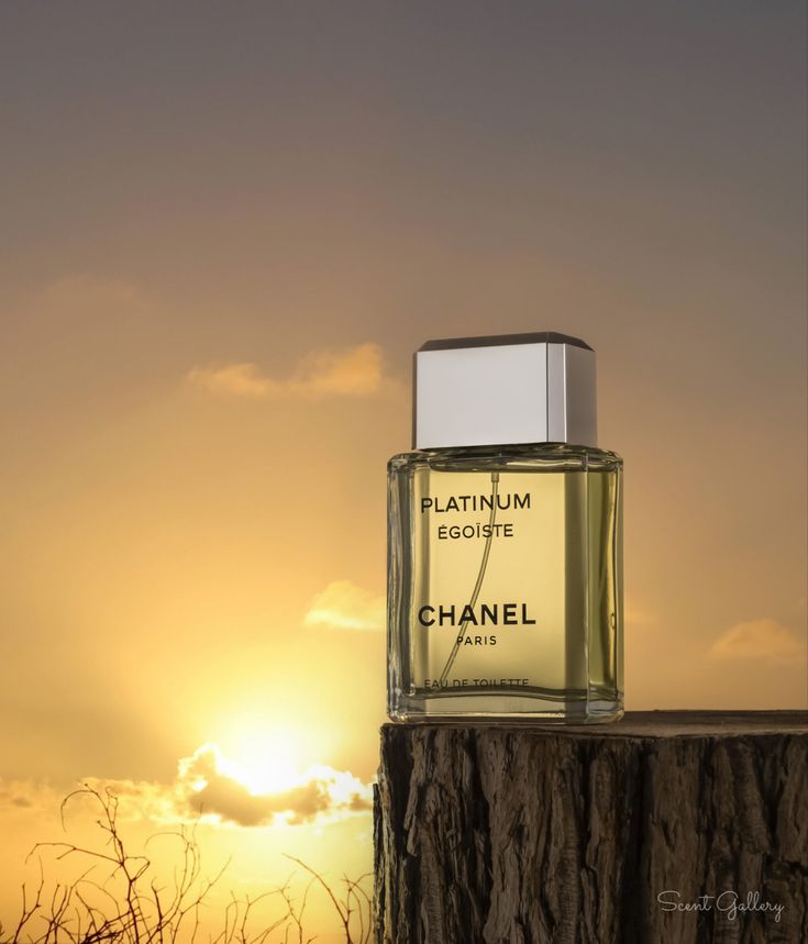 Chanel Egoiste Pour Homme PLATINUM EDT 100ml (Men)